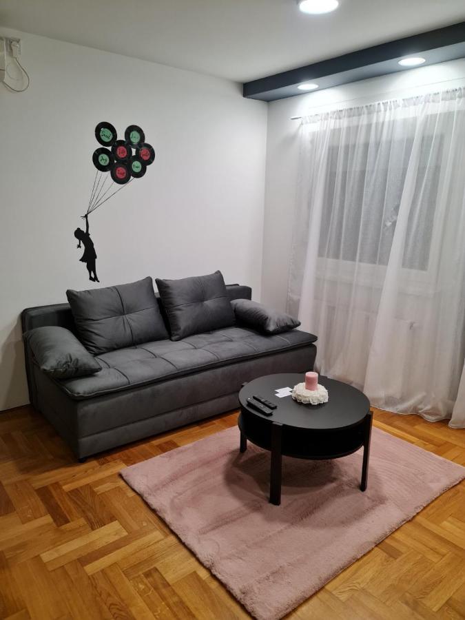 Apartman Vinyl - Self Chek-In Eszék Kültér fotó